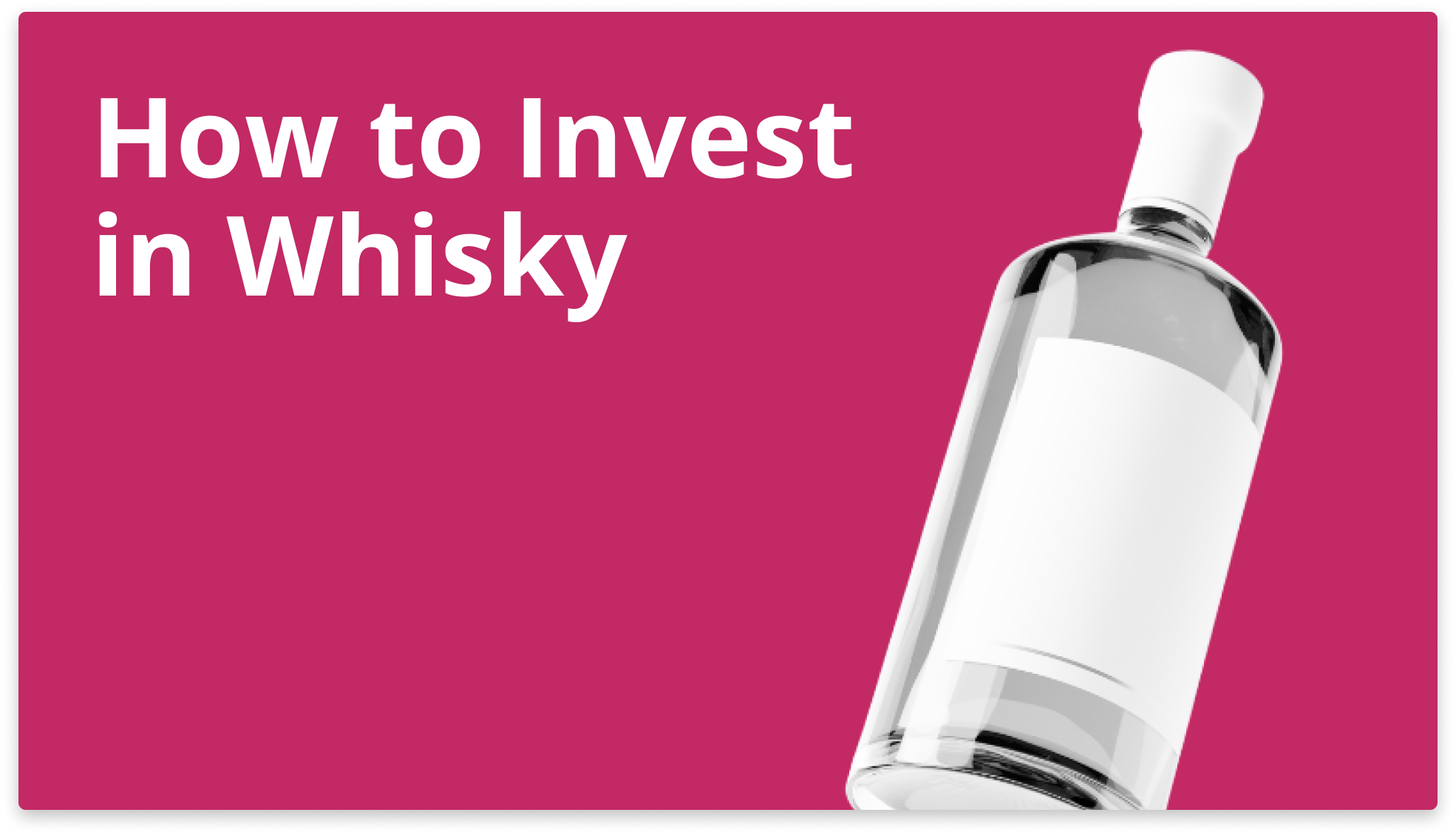 Best Whiskey Investments 2025 Rena Juanita