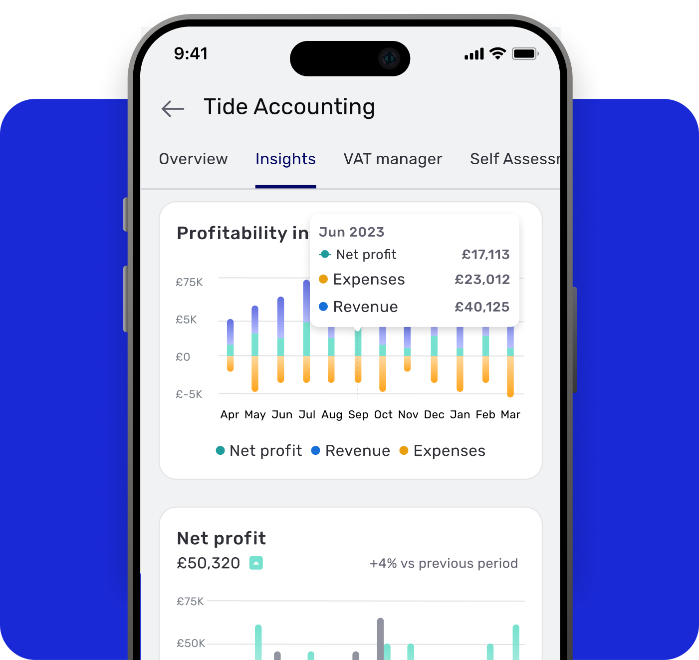 accounting software