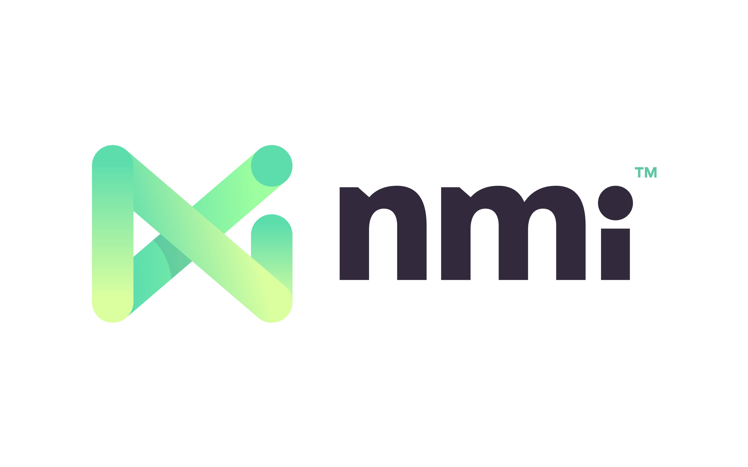 NMI Network Merchants logo